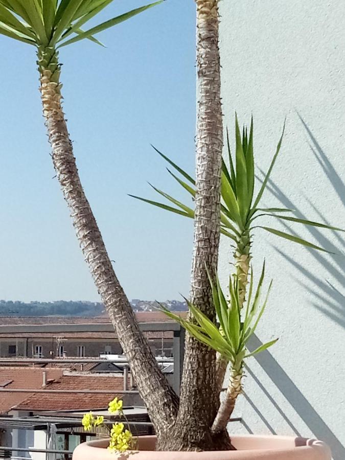 Hotel Chiaraluna Civitanova Marche Ngoại thất bức ảnh